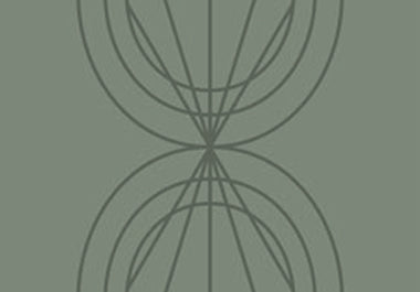 Petal - Erica Puccio