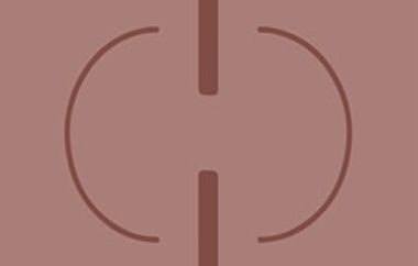 Linked - Erica Puccio