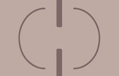 Linked - Erica Puccio