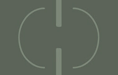 Linked - Erica Puccio