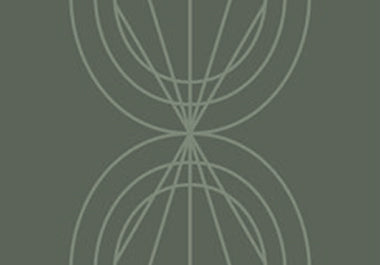 Petal - Erica Puccio