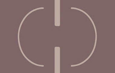 Linked - Erica Puccio