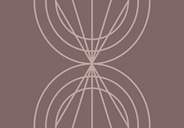 Petal - Erica Puccio