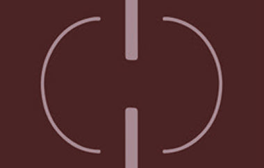 Linked - Erica Puccio