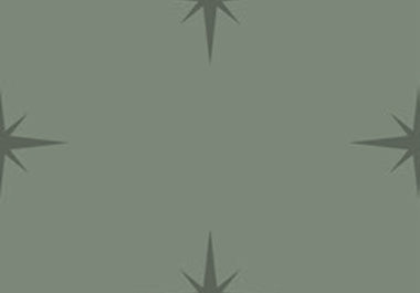 North Star - Erica Puccio