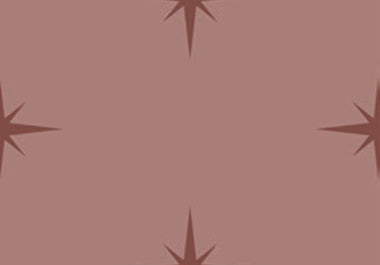 North Star - Erica Puccio