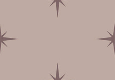 North Star - Erica Puccio