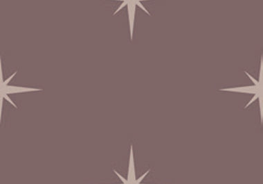 North Star - Erica Puccio