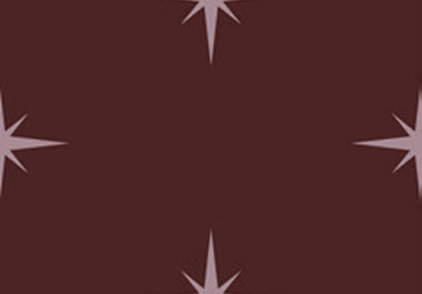 North Star - Erica Puccio