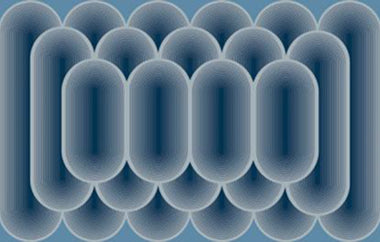 Looped - Erica Puccio