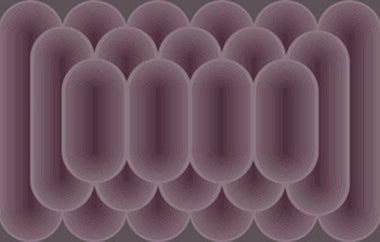 Looped - Erica Puccio