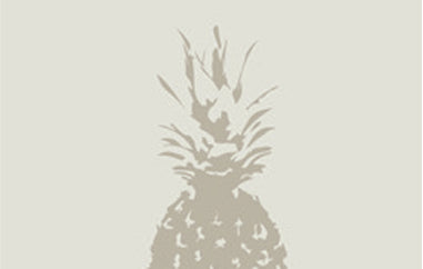 Pineapple - Erica Puccio