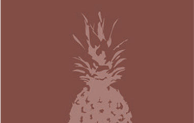 Pineapple - Erica Puccio