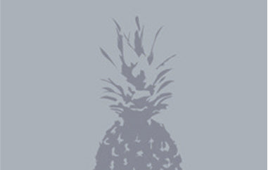 Pineapple - Erica Puccio