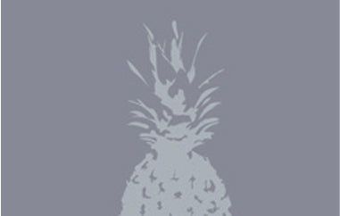 Pineapple - Erica Puccio