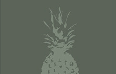 Pineapple - Erica Puccio