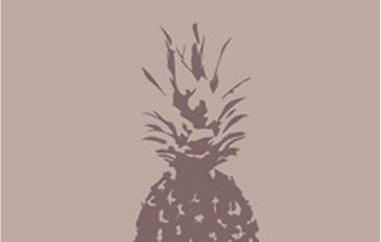 Pineapple - Erica Puccio