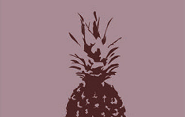 Pineapple - Erica Puccio