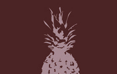 Pineapple - Erica Puccio