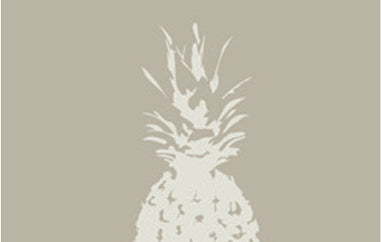 Pineapple - Erica Puccio