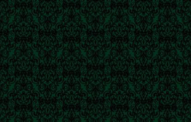 Social - Erica Puccio