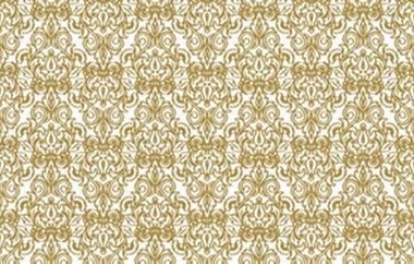 Social - Erica Puccio