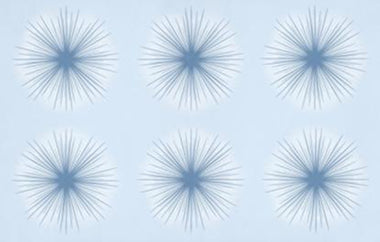 Sunkissed - Erica Puccio