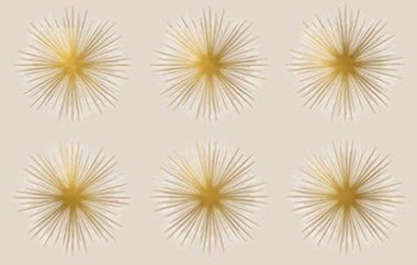 Sunkissed - Erica Puccio