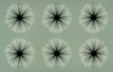 Sunkissed - Erica Puccio