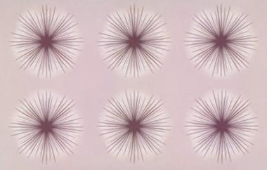 Sunkissed - Erica Puccio